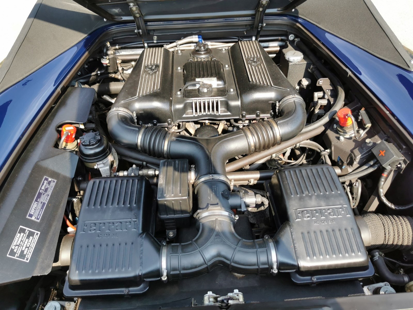 1998 Blu Spider F1 FHP — photo 3